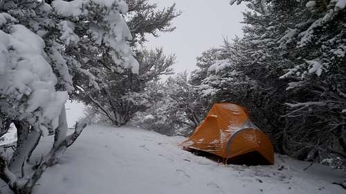 Camp at approximately 7500 feet in Loan Peak area.