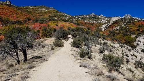 A fall scene while departing Lone Peak via Jacob's Ladder.  