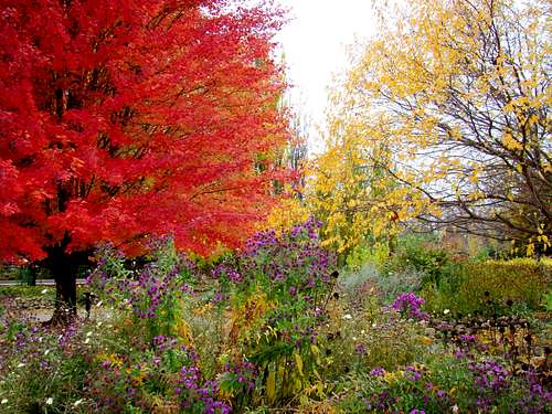 South Dakota Autumn Color