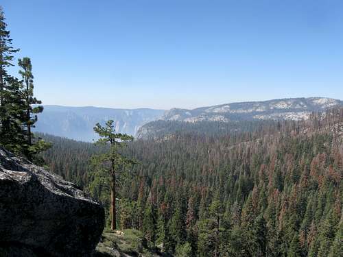 First Views of Yosemite Valley