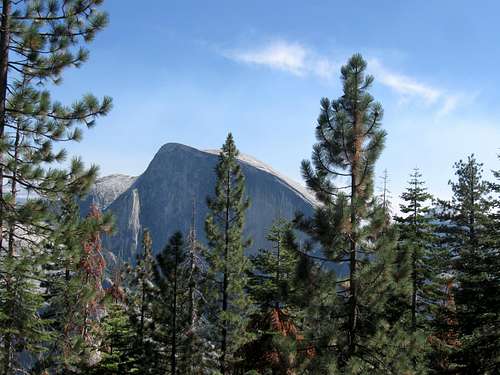 A Look Back at Half Dome Through the Trees
