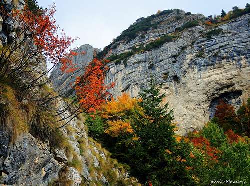 Little Dolomites in Autumn
