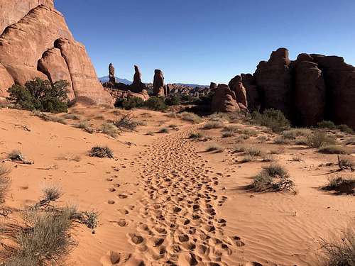 Tower Arch Trail