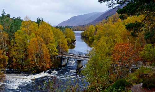 Glen-Affric-autumn-VisitInvernessLochNess-1200x712-1 - Celtic Canada