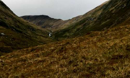 Hill Walking in Scotland – Glen Affric - Scottish Cultural Organization of  the Triangle