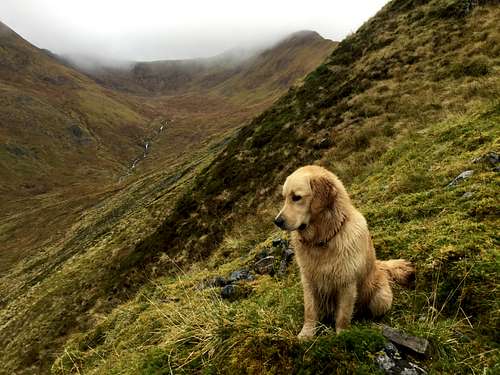 Henry climbing Sgurr na Lapaich