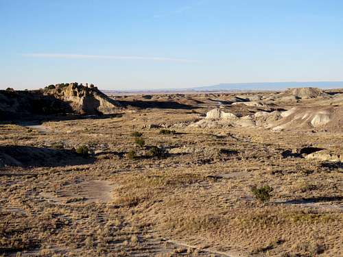 Petrified Log 18 area