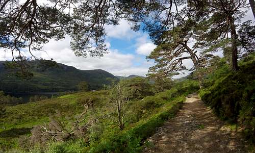 Path on the northern bank of Loch Affric