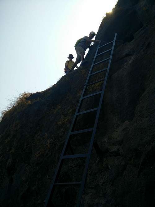 The top of ladder was tricky!