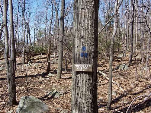 Side Trail to Pinwheel's Vista