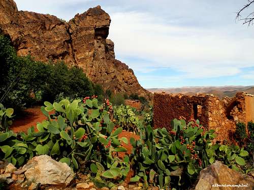 Prickly pears and ancient settlements, the typical Jebel El Kest landscape