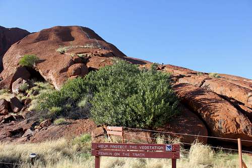 Uluru Summit Trail