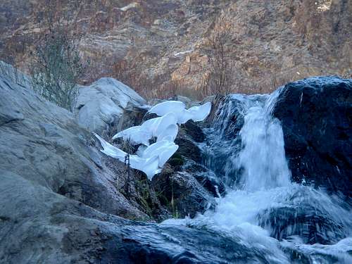 Bizarre ice formations at Surprise Canyon falls