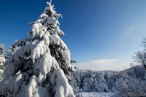 Winter wonderland in Beskydy