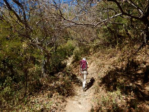 Hiking trails above Ajijic.