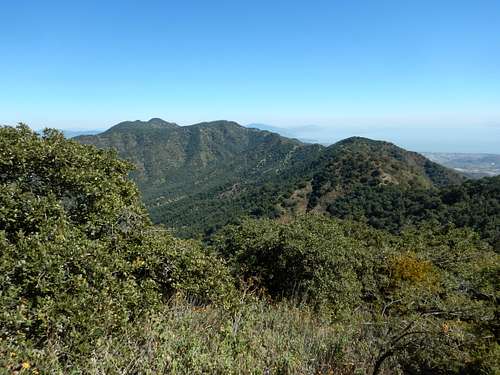 Typical scene along the summit ridge.