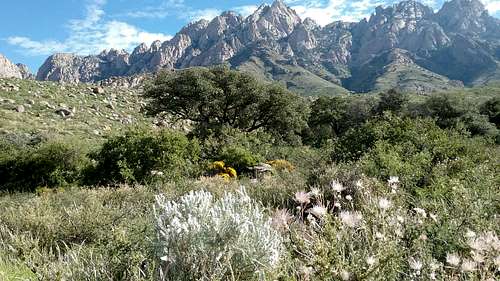 Organ Mountains and Desert Peaks National Monument