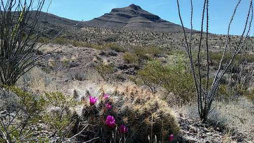 Organ Mountains and Desert Peaks National Monument