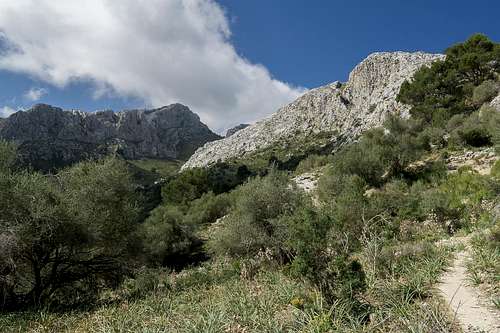 Puig des Coll des Jou (1052m), Puig des Cornadors (1013m)