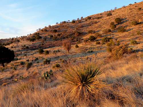 Near Trailhead