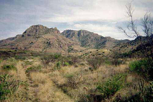 Chinati Peak