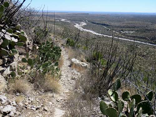 Lower parts of the trail