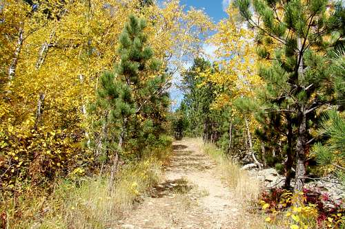 Mount Theodore Roosevelt Trail