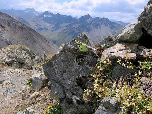 Albula Alpen with Piz Kesch
