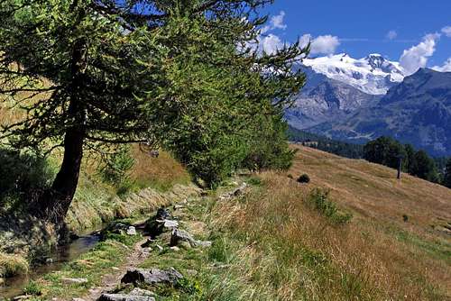 Walking along Ru Courtod in view of Monte Rosa Group