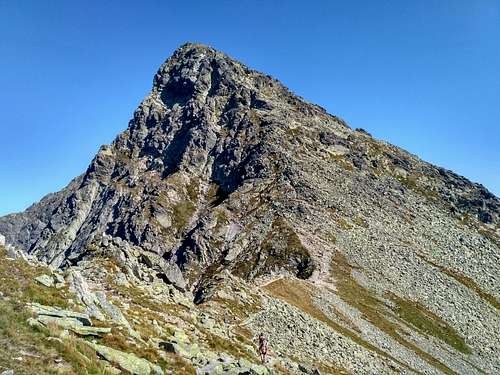 Svinica (2301m)