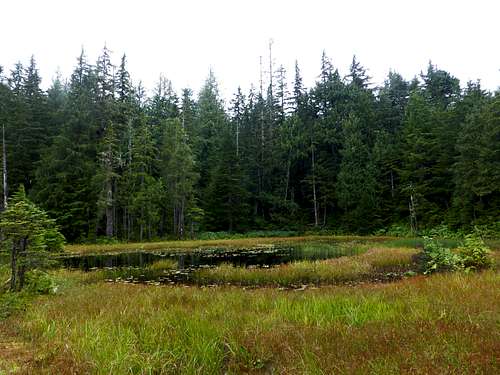 Pond at 2800' on Mount Ditney East Approach