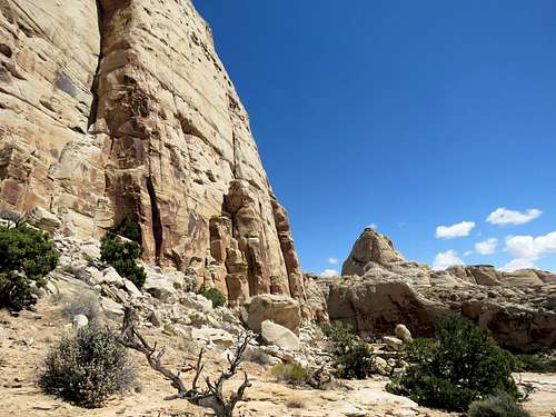 On Navajo Knobs Trail