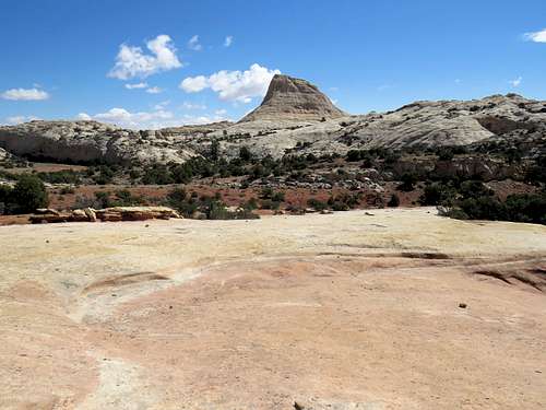 A knob on Navajo Knobs Trail