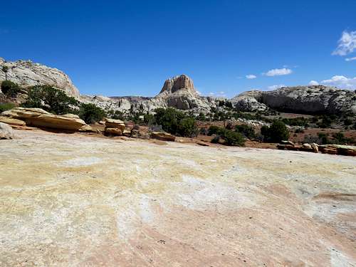 A knob on Navajo Knobs Trail