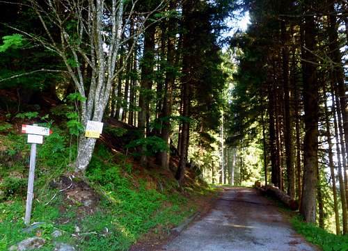 The start of the trail to Malga Cengledino