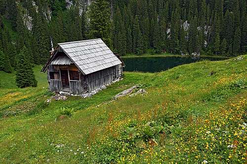 Jezero alpine meadow