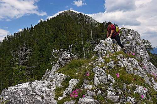 On the SW ridge of Veliki Rogatec