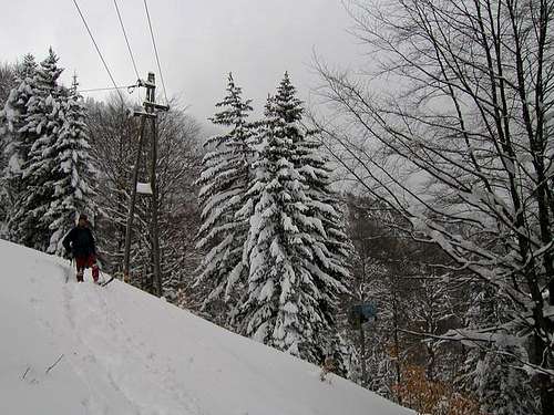 South slopes of Veliki Zvoh
