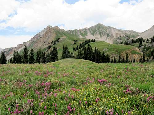 North Fork of Lost Trail