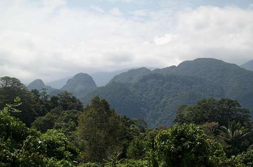 Mulu National Park from near the Entrance Station.