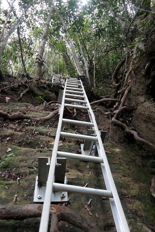 Ladders near the summit of Gunung Santubong