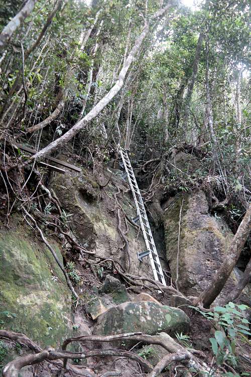 Ladders near Gunung Santubong Summit