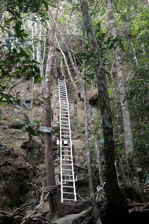 Ladder near Gunung Santubong Summit