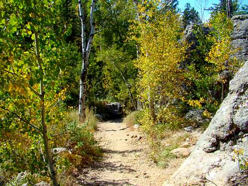 Early Autumn on Trail 4
