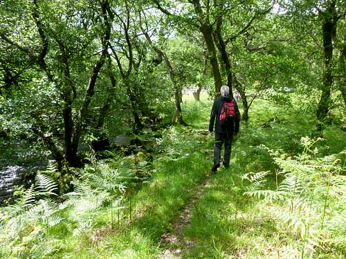 Strolling by the Afon Llugwy