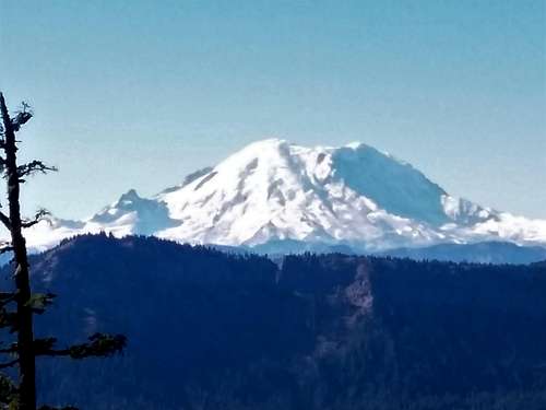 Rainier from Cole Butte