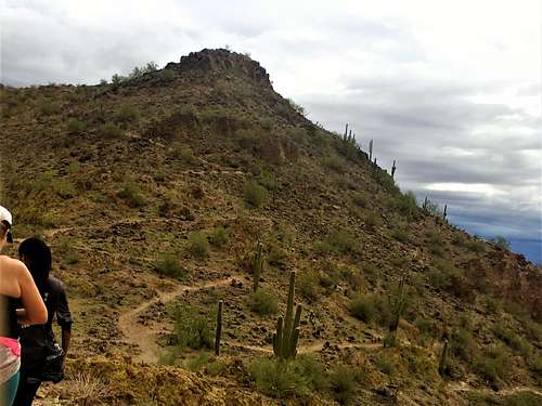 View up to the trails to the summit