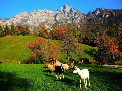 Autumn colors in Valle Agno di Lora