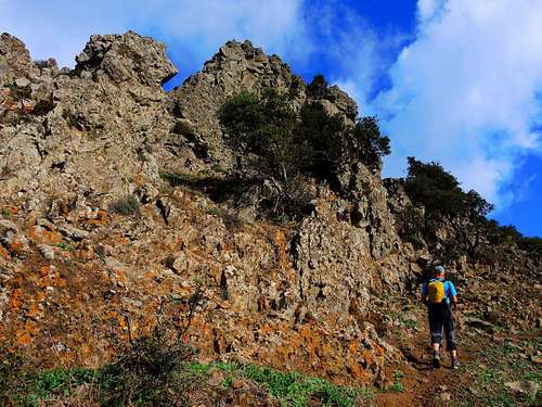 Monte Arcuentu, nearing the summit ridge