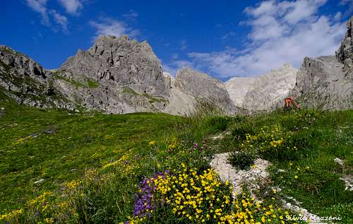 August blooming in the Cerces Massif